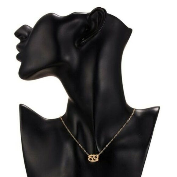 Zodiac Astrology Necklace - Picture 5 of 5